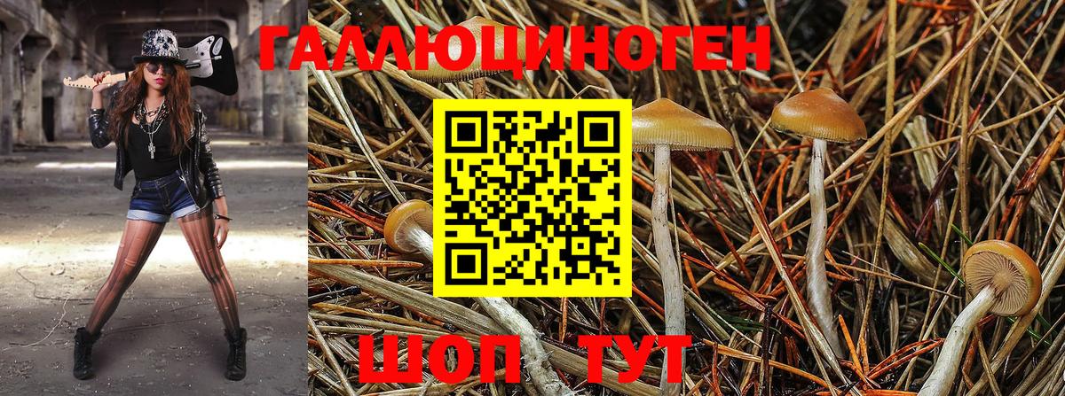 Галлюциногенные грибы GOLDEN TEACHER Арсеньев